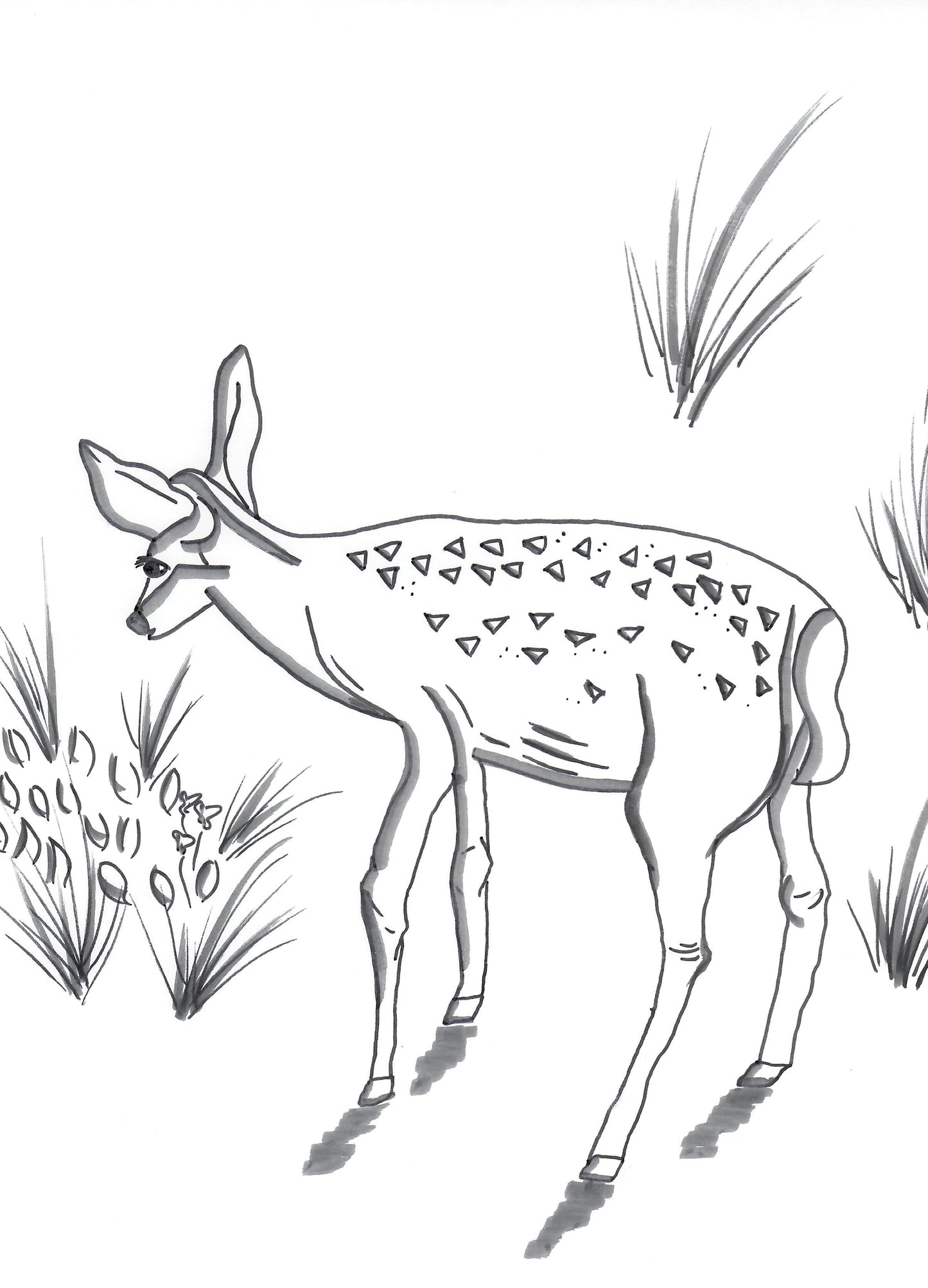 Farm to Film Coloring Book
