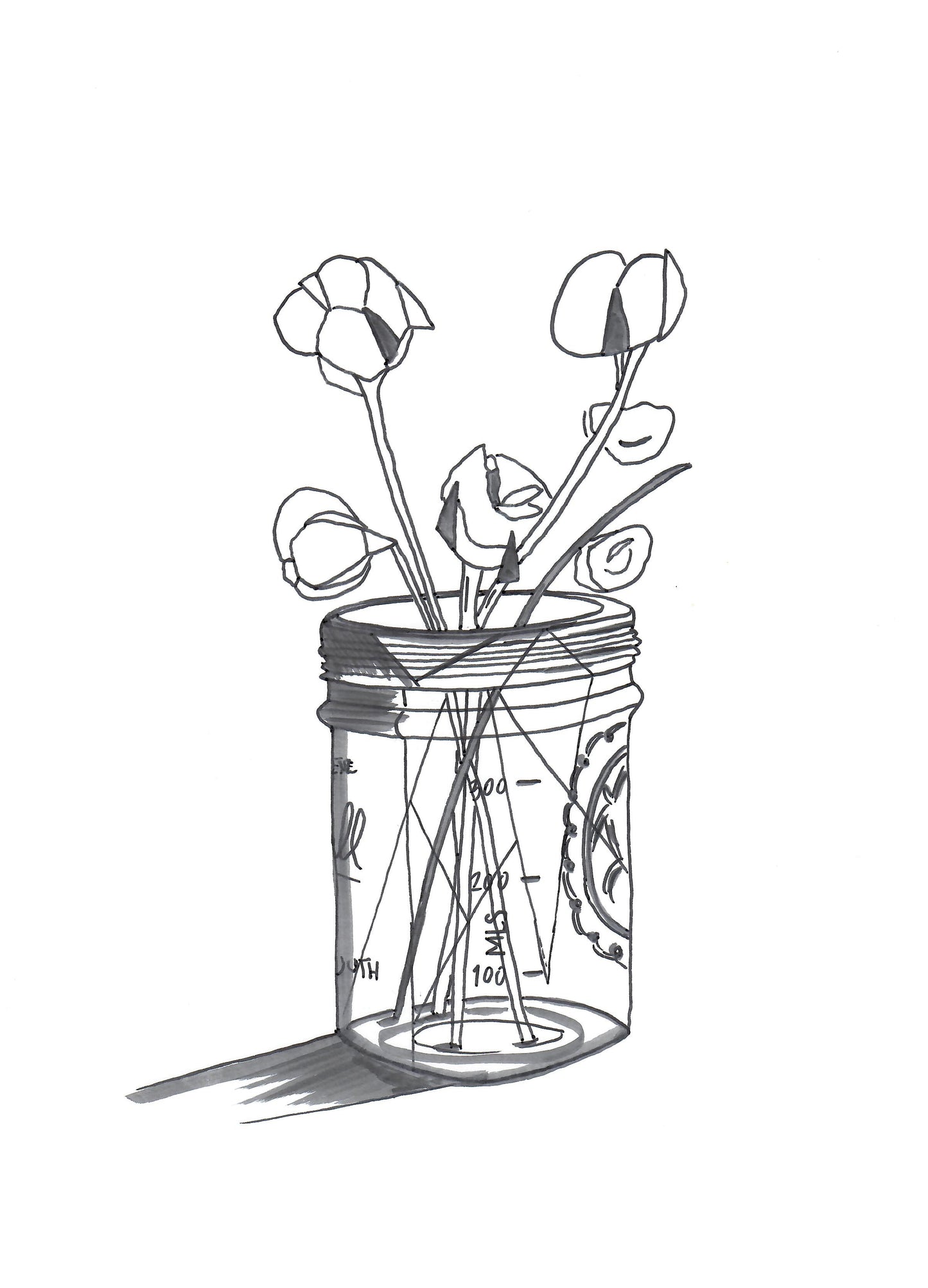 Farm to Film Coloring Book