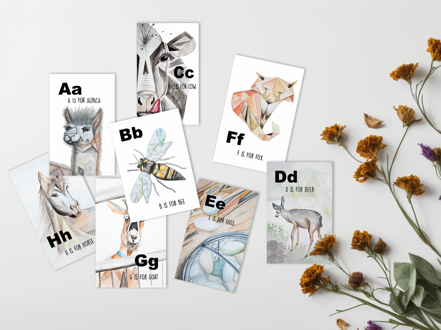 ABC Identity Flash Cards