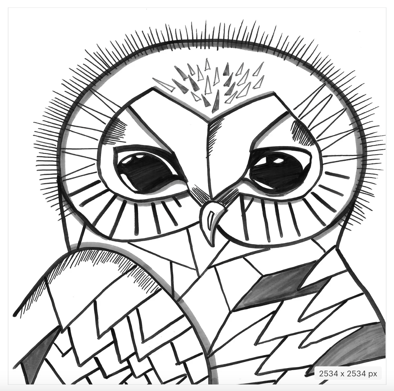 Farm to Film Coloring Book