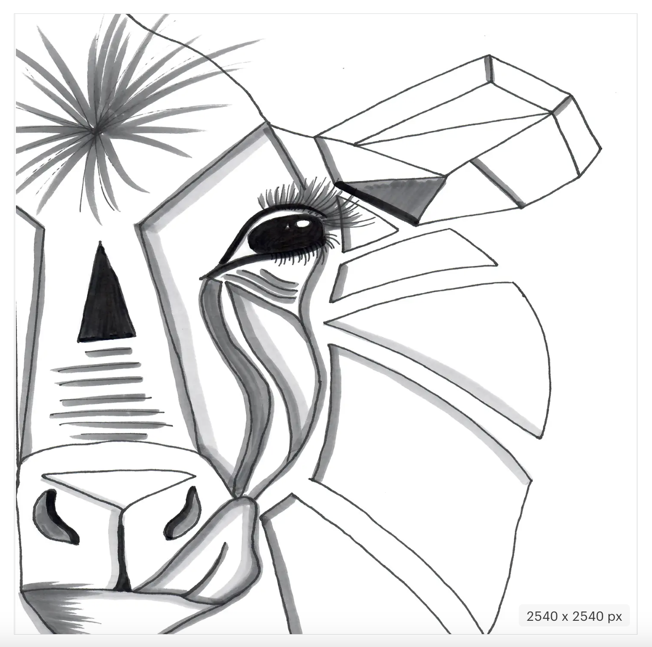 Farm to Film Coloring Book