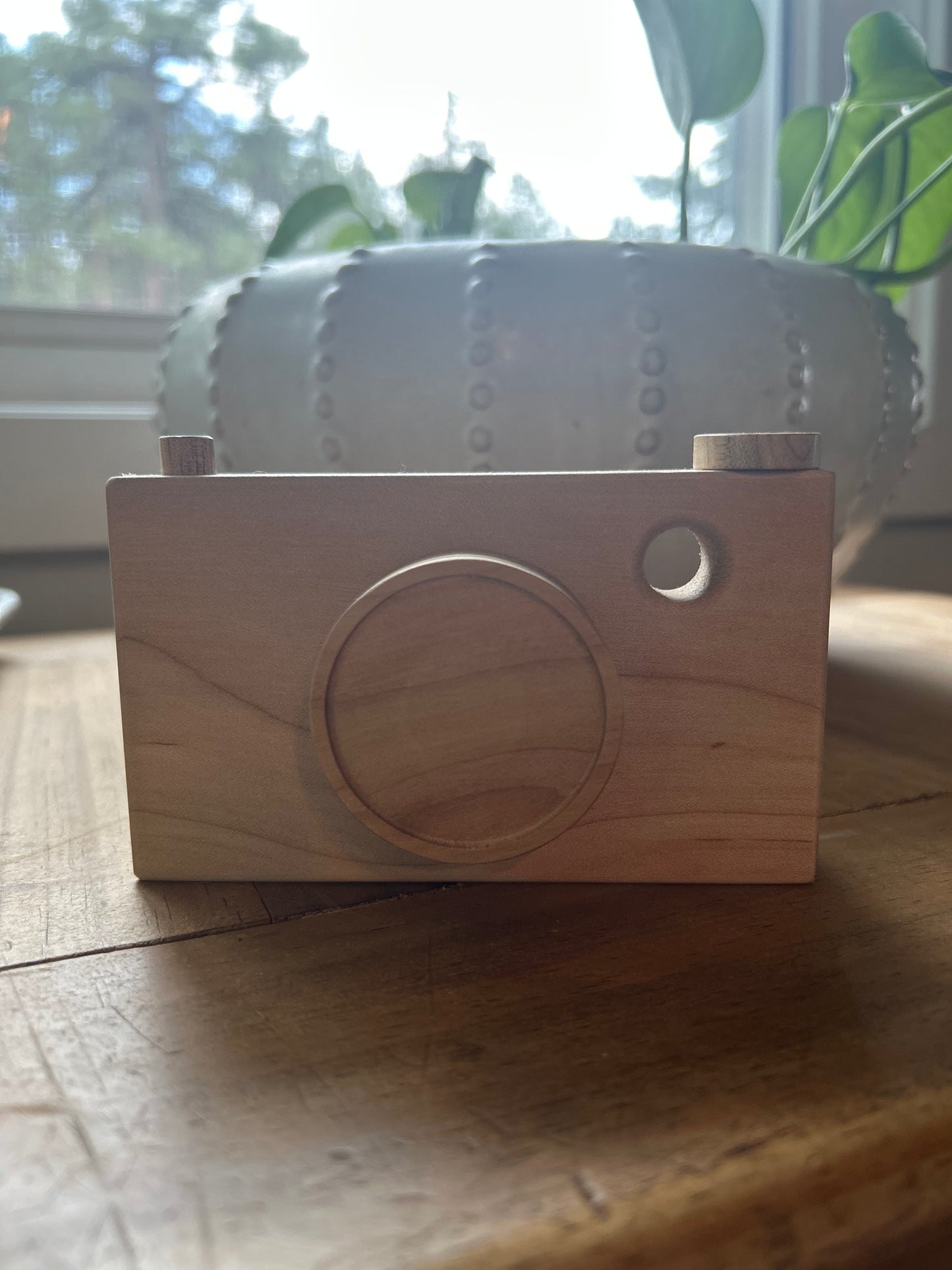 Wooden Camera