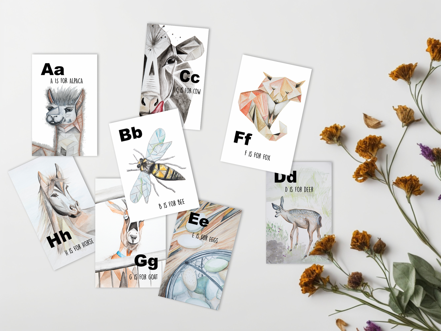 ABC Identity Flash Cards