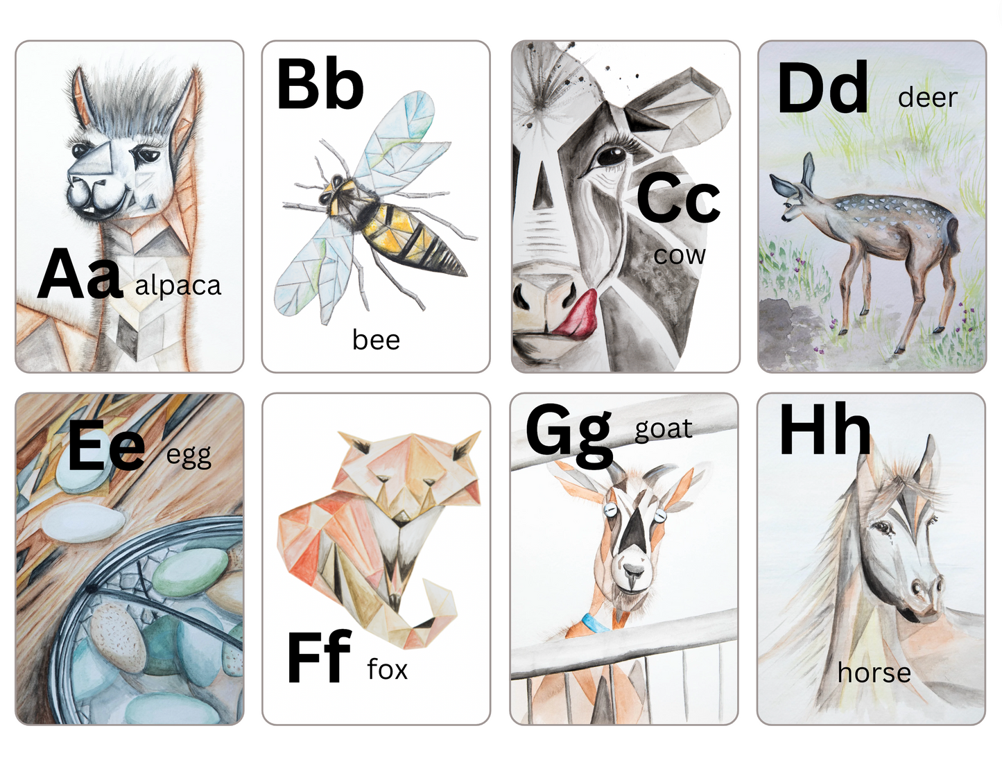 ABC Identity Flash Cards