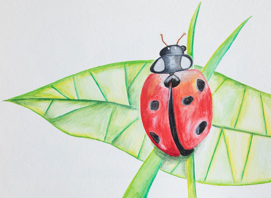 L is for Ladybug Print
